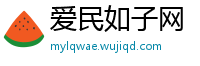 爱民如子网